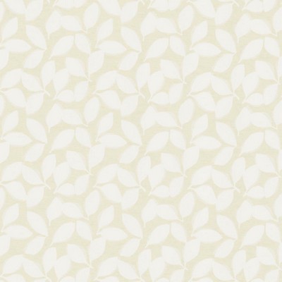 Kasmir Freefall 55 CREAM           